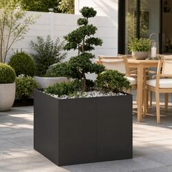 Elevate Your Outdoor Space with a Black Steel Planter Box