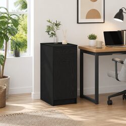 Sleek Black Oak Storage Cabinet for Office Spaces