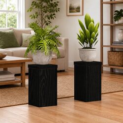 Enhance Your Space with These Modern Plant Stands