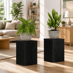 Stylish Black Plant Stands for Indoor and Outdoor Use - 2 Pack
