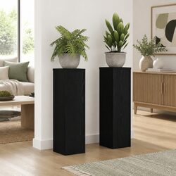 Elevate Your Space with 2-Piece Black Plant Stand Set