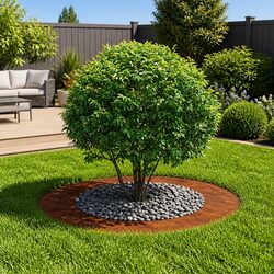 Elevate Your Outdoor Space with a Rusty Brown Tree Ring