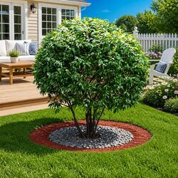 Tree Ring Set 5 pcs Rusty Brown Outdoor Garden Flat Base Protection Ø60/90cm