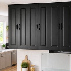 Modern Black Kitchen Cabinet for Organized Living