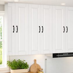Elevate Your Kitchen with a Stylish Wall Cabinet