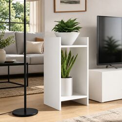 Plant Stand 2 Pcs White 30x30x60cm Indoor Display Shelf Engineered Wood