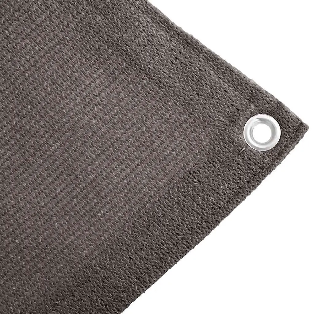 Tent Carpet 250x400 cm Water-resistant with Integrated Eyelets Anthracite