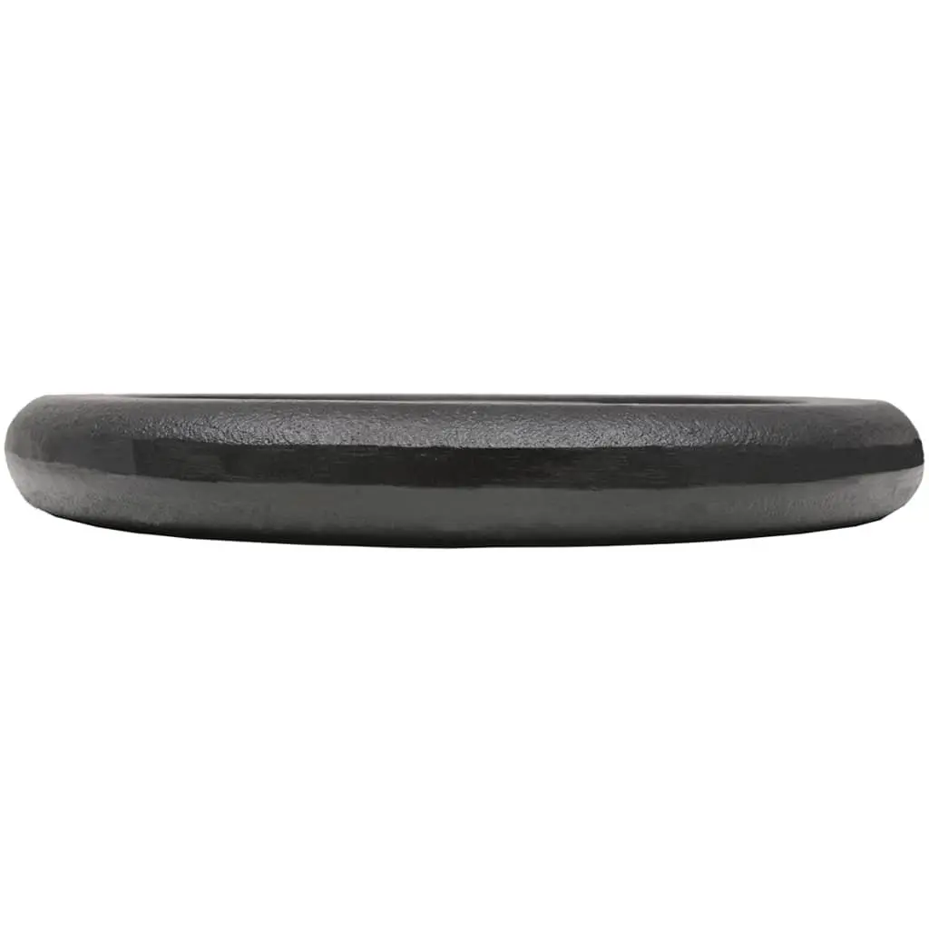 Weight Plates 10 kg Cast Iron Scratch Resistant for Barbell Dumbbell Home Gym