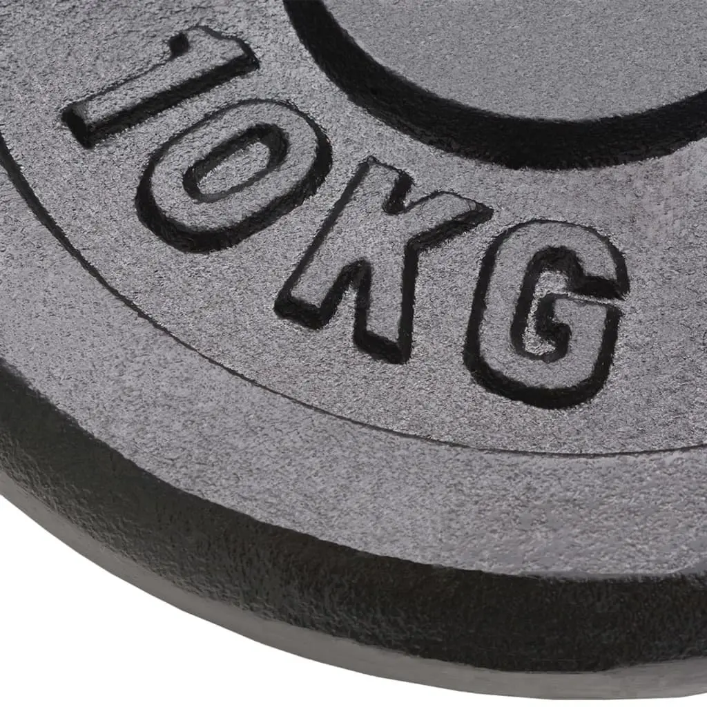 Weight Plates 10 kg Cast Iron Scratch Resistant for Barbell Dumbbell Home Gym