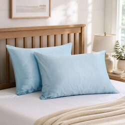 Soft Blue Mulberry Silk Pillowcase Set 51x76cm