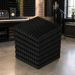 Enhance Your Sound with 20 Wedge Acoustic Foam Panels
