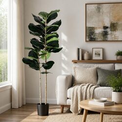 Transform Your Space with a 150cm Fiddle Tree