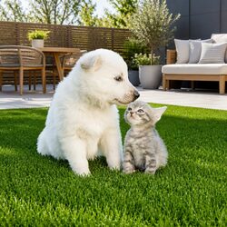 Elevate Your Space with Olive Green Artificial Grass 2M x 5M