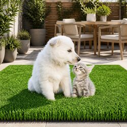 Transform Your Outdoor Space with 1m x 20m Olive Turf