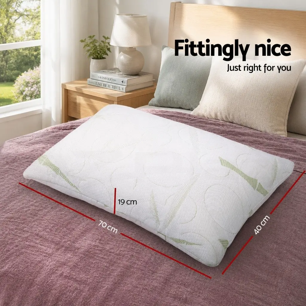 Memory Foam Pillow 70x40cm Bamboo Fabric Twin Pack Shredded Foam White