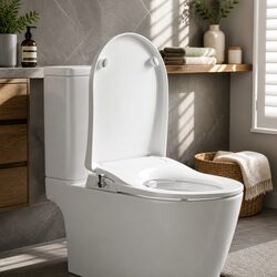 Transform Your Bathroom with a D-Shape Non-Electric Bidet Seat