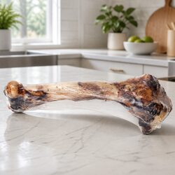Enhance Your Pet’s Day with a Natural Lamb Bone Chew