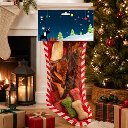 Holiday Stocking Packed with 15 Dog Treats