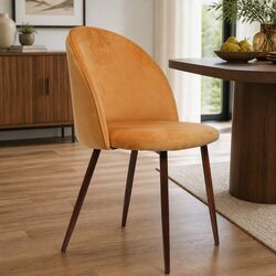 Dining Chairs Set of 2 to Elevate Your Space