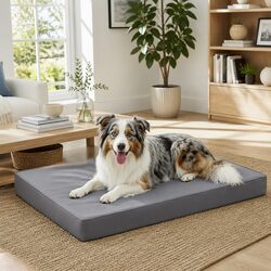 Enhance Your Space with a Stylish Grey Dog Bed