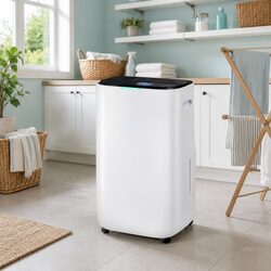 Air Purifier Fan and Dehumidifier 20L for Improved Comfort