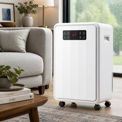Elevate Your Space with a 70L/Day Dehumidifier