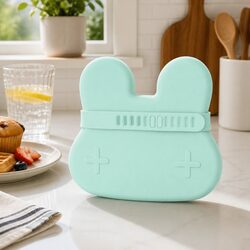 Silicone Snack Bowl Plate for Toddlers in Minty Green