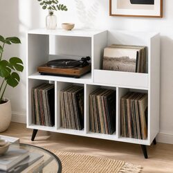 Enhance Your Space with a Stylish Vinyl Storage Cabinet