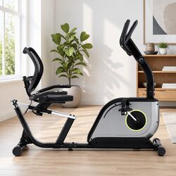 Recumbent Exercise Bike Magnetic Cycling Home Gym Fitness 120kg Max Weight Black