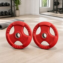 Enhance Your Workout Space with 15kg Red Weight Plates