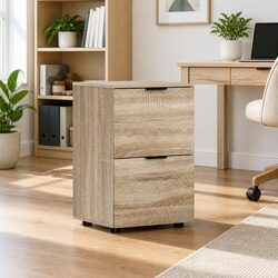 Filing Cabinet 2 Drawer Home Office Storage Organiser Document Shelves Workspace