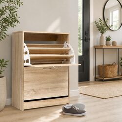 Stylish Shoe Storage Cabinet Enhancing Your Space