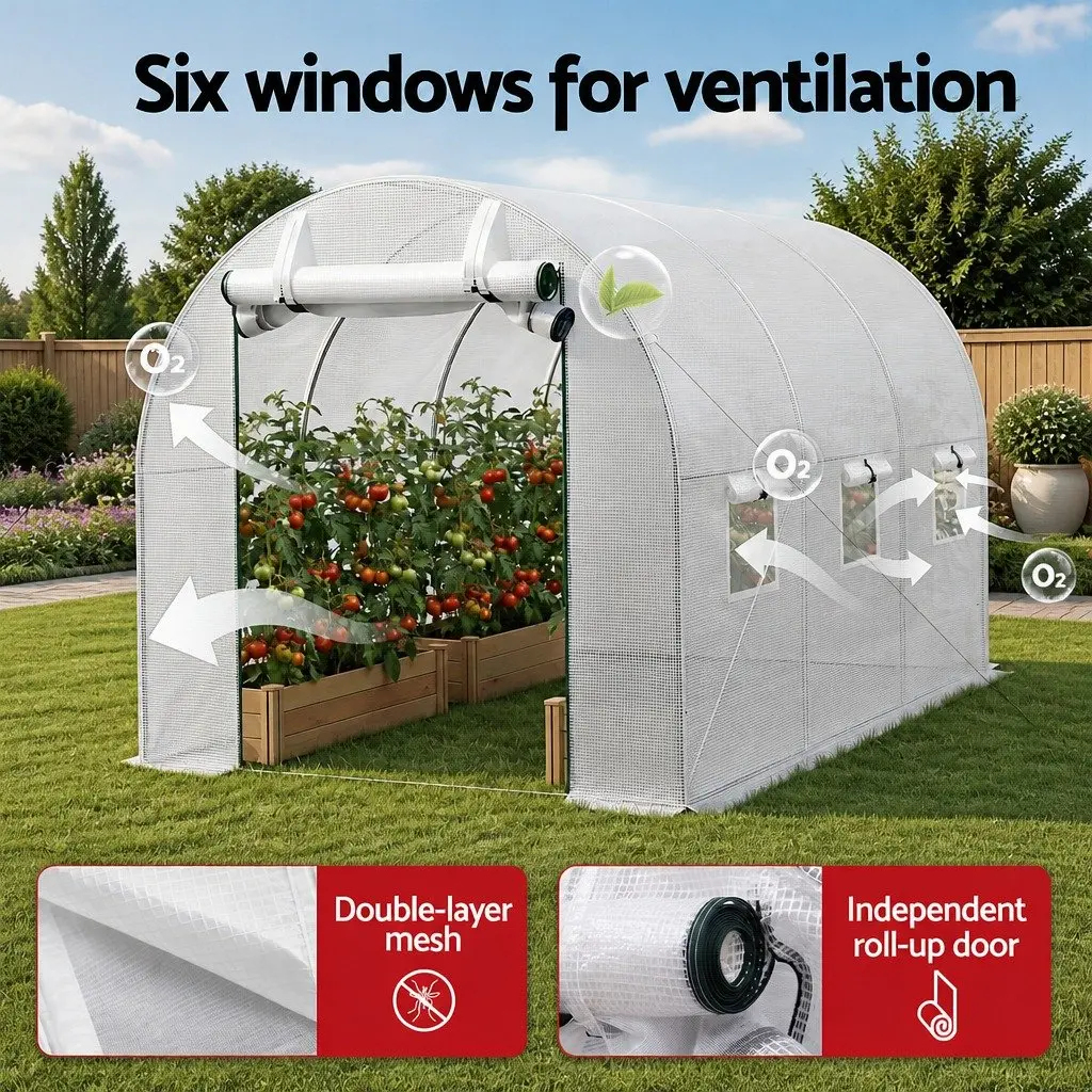 Walk In Greenhouse 3x2x2M Durable Steel Frame PE Cover Roll-up Door