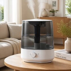 Enhance Your Space with a 6L Ultrasonic Humidifier and Diffuser