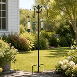 Enhance Your Garden with a Bird Feeder Station