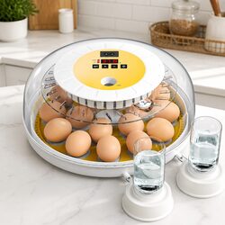 Automatic Egg Incubator for Home Hatching with LED Display