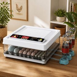 Elevate Your Hatching Experience with a 70 Egg Incubator