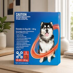 Monthly Chews 30.1-60kg