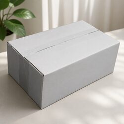 Optimize Your Storage with RSC Carton 270x160x100mm White Box
