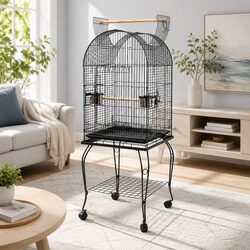 Elegant Black Parrot Dome Aviary for Stylish Spaces