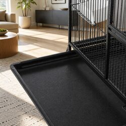 Elevate Your Space with a Stylish Parrot Aviary Cage