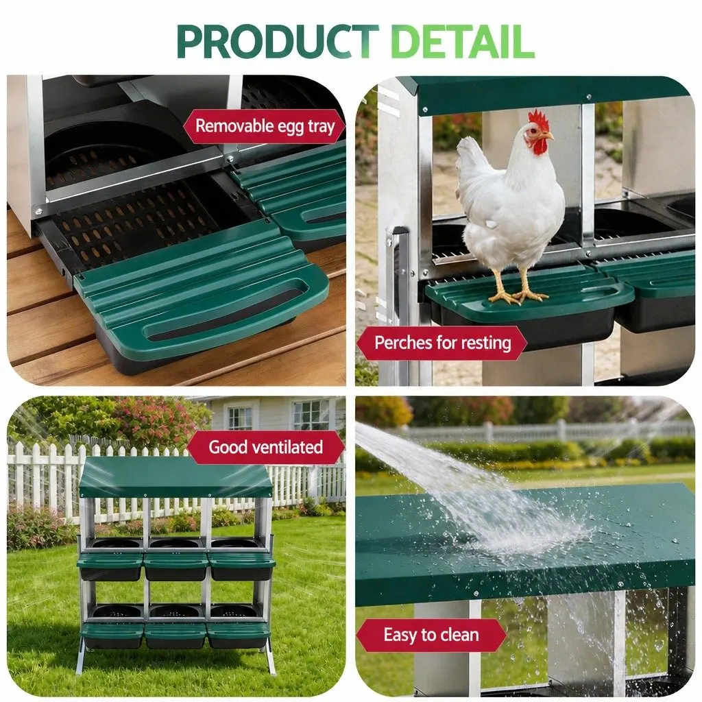 Chicken Nesting Box 6 Holes Roll Away Metal Wall Mounted Green Automatic Egg Collection