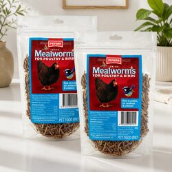 Natural Dried Mealworm Treats for Backyard Birds 100g x2