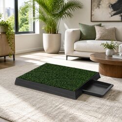 Enhance Your Home with This Indoor Outdoor Dog Training Pad