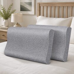 Memory Foam Pillow Pair Bamboo Charcoal Ergonomic Neck Support Grey Removable