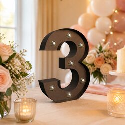 Personalized LED Letter and Number Lights for Home Décor