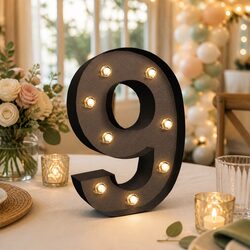 Enhance Your Space with Beautiful LED Letter and Number Lights