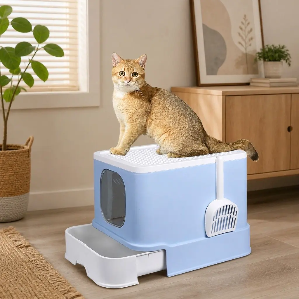 Enclosed Cat Litter Box Double Door Privacy Kitty Tray Large Spacious Blue