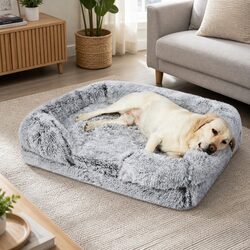 XL Dog Bed: Elevate Your Pet’s Comfort at Home