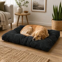 Comfortable Pet Cushion Bed for a Relaxed Home Environment